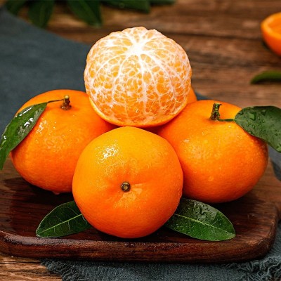 广西武鸣沃柑纯甜沃柑 5/9斤新鲜水果应季冬季柑橘蜜桔子非茂谷柑图4