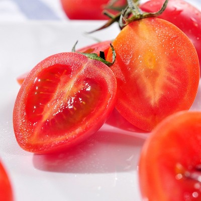 【助农产品】新鲜圣女果 个大饱满小番茄 西红柿水果蔬菜批发代发图2