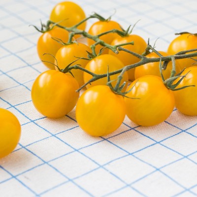 黄金圣女果 个大饱满小番茄 西红柿水果蔬菜批发代发图2