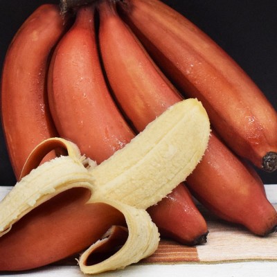 福建土楼红美人香蕉5斤新鲜水果现摘红皮软糯甜香蕉一件代发图4