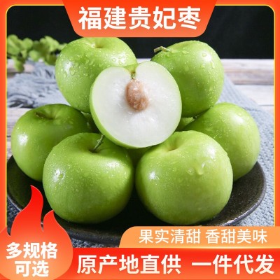 福建贵妃枣 应季新鲜水果牛奶脆甜贵妃蜜枣3\5\9斤现摘现发非冬枣图5
