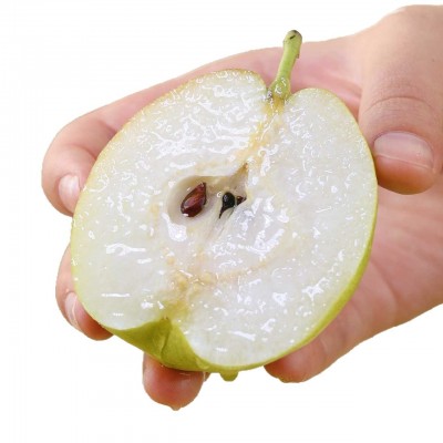 新疆库尔勒香梨新鲜水果梨子多汁整箱4-5.6斤当季梨子鲜水果顺丰