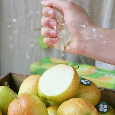 新疆库尔勒香梨新鲜水果梨子多汁整箱4-5.6斤当季梨子鲜水果顺丰图4