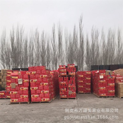 新疆灰枣阿克苏若羌红枣大果500g装甜 一件代发 整箱批发厂家供应图3