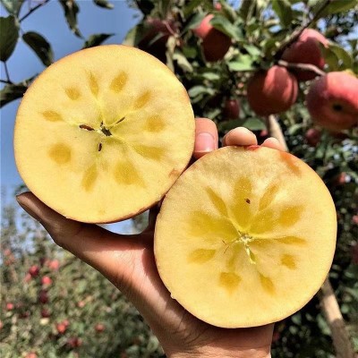 阿克苏直发新疆阿克苏自然熟冰糖心苹果净重4.5斤-9斤图4