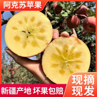 阿克苏直发新疆阿克苏自然熟冰糖心苹果净重4.5斤-9斤图5