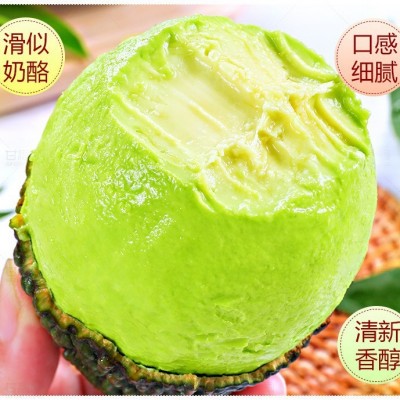 2025云南牛油果新鲜水果应季整箱鳄梨森林奶油孕妇水果宝宝辅食图3