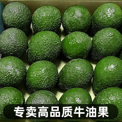 2025云南牛油果新鲜水果应季整箱鳄梨森林奶油孕妇水果宝宝辅食图4