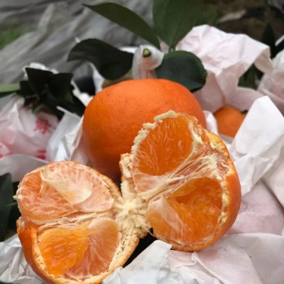 现货一件代发眉山丹棱果园新鲜现摘现发阿斯蜜明日见柑橘水果批发图3