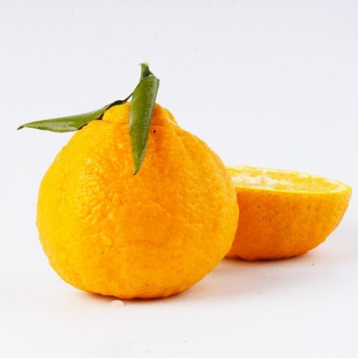 现货一件代发眉山丹棱果园新鲜现摘现发阿斯蜜明日见柑橘水果批发