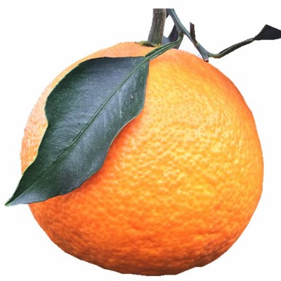 现货四川眉山爱媛38号果冻橙 批发新鲜水果手剥橙一件代发5斤8斤