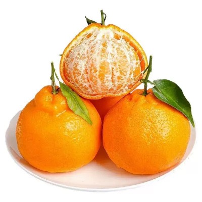 正宗四川柑橘明日见新鲜孕妇水果果园直发
