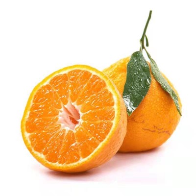 【寒冷地区保温箱发货】四川春见耙耙柑时令新鲜现摘水果酸甜爆汁