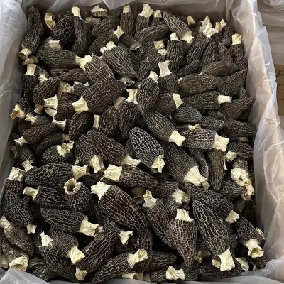 羊肚菌干货云南原产地批发价干菌一件代发规格齐全批发直供厚肉图3