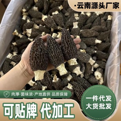 羊肚菌干货云南原产地批发价干菌一件代发规格齐全批发直供厚肉图5
