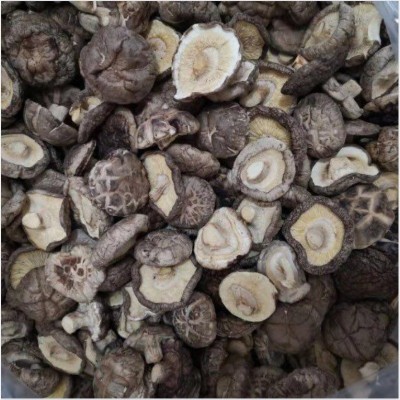 【包邮】古田农家干香菇通货散装商用蘑菇剪脚肉质厚香菇干货
