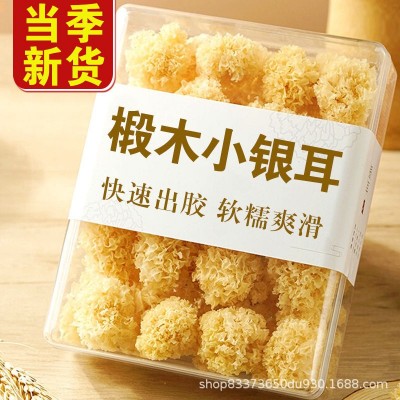 古田椴木小银耳 非通江银耳煲糖水新货干货批发【包邮】一件代发图5