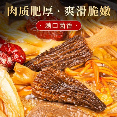 羊肚菌批發整箱干货批发市场云南特产煲汤菌菇包农产品原产地直发图4