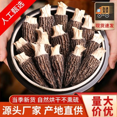 羊肚菌批發整箱干货批发市场云南特产煲汤菌菇包农产品原产地直发图5