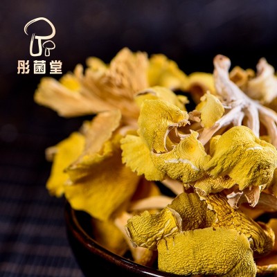 云南鸡油菌厂家大量批发干货山珍菇火锅煲汤菌菇鸡油菌黄金菇蘑菇图4
