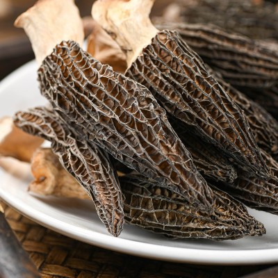 有机羊肚菌瓶装50克伴手礼盒彤菌堂头茬羊肚菌干货礼品肉厚味香图2