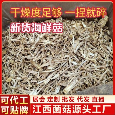 海鲜菇食用菌批发干货酒店食材蟹味菇干货大条海鲜菇源头厂家批发图5