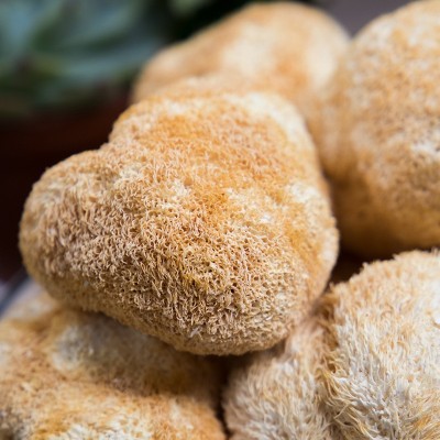 猴头菇干货批发散装新鲜猴头菇干食用菌菇批发江西源头工厂批代发图4