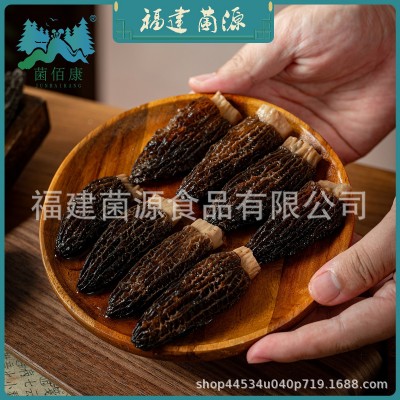 菌佰康 可批发 可礼盒包装 大朵羊肚菌