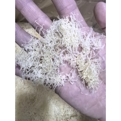 古田银耳，古田银耳丝，古田精品银耳丝