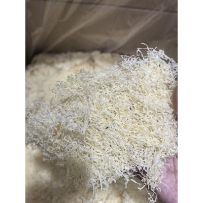 古田银耳，古田银耳丝，古田精品银耳丝图5