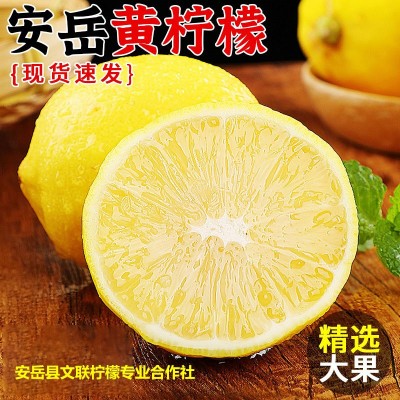 安岳黄柠檬产地直发现摘当季新鲜柠檬一级奶茶店商用批发优质多汁图4