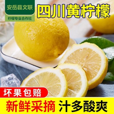 安岳柠檬产地直发批发新鲜一级黄柠檬多汁奶茶店商用鲜柠鲜果图4