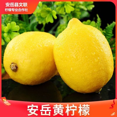 新鲜安岳柠檬产地直发皮薄青柠多汁当季黄柠檬奶茶商用鲜果批发图4