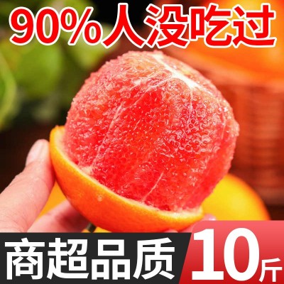 【顺丰包邮到家】正宗江西赣南血橙新鲜水果橙子礼盒送礼整箱批发图4