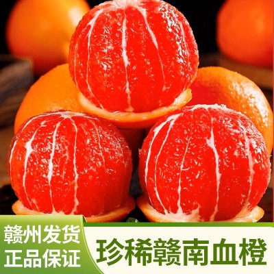 【中华血橙】赣南血橙红肉橙子当季新鲜水果红心脐橙整箱批发包邮图5