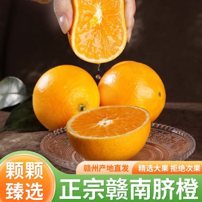 【顺丰包邮】赣南脐橙当季现摘新鲜水果橙子手剥橙礼盒装整箱批发图4