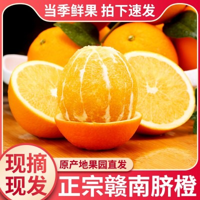 【顺丰包邮】正宗江西赣南脐橙薄皮甜橙子新鲜水果礼盒装整箱批发图2
