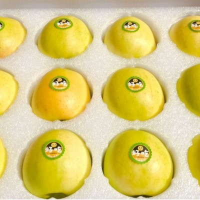 2025陕西淳化新鲜瑞雪苹果采摘至1300米高的海拔纯甜无渣特级