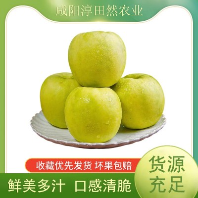 2025陕西淳化新鲜瑞雪苹果采摘至1300米高的海拔纯甜无渣特级图5