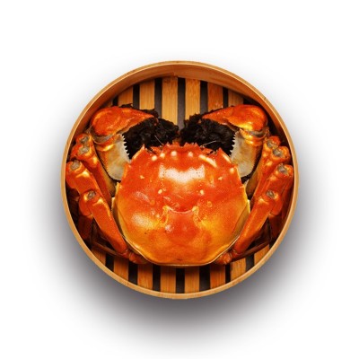 散装苏州大闸蟹公蟹母蟹单只鲜活螃蟹礼盒大闸蟹国庆礼品8只起拍