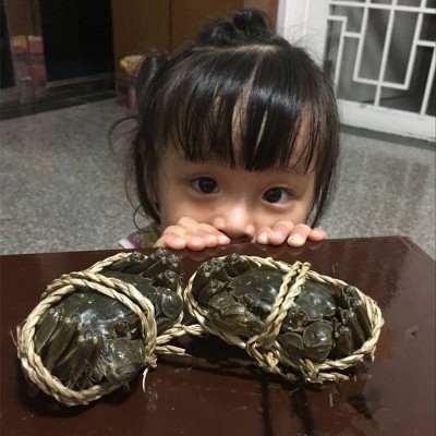 源头团购螃蟹鲜活大闸蟹苏州大闸蟹苏州精品河蟹10只装鲜活螃蟹