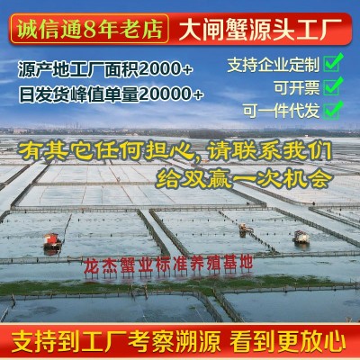 苏州大闸蟹螃蟹鲜活大闸蟹4两公3两母10只装水产螃蟹鲜活大闸蟹图3