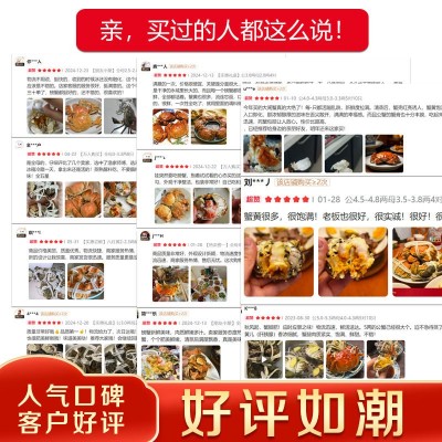 螃蟹鲜活大闸蟹苏州精品公3.5两母2.5两10只装水产螃蟹鲜活大闸蟹图2
