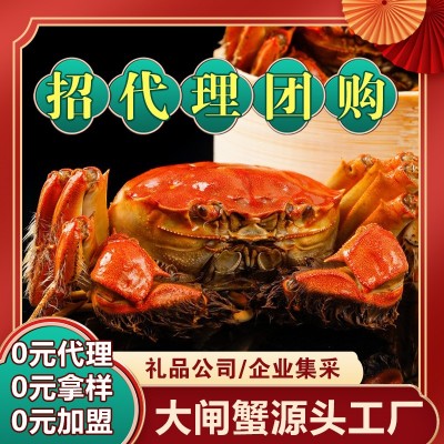 螃蟹鲜活大闸蟹鲜活螃蟹公3.5两母2.5两公母对10只装苏州直发图5
