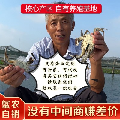 苏州大闸蟹公5两母3.5两公母对10只装鲜活大闸蟹螃蟹鲜活大闸蟹图2