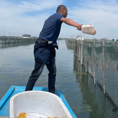 大闸蟹苏州产地发货免费加盟 诚邀代理合作 全国配送包售后图4