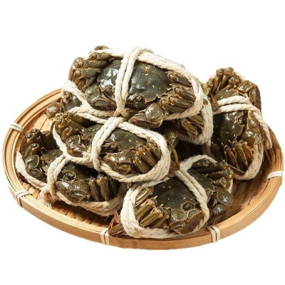 大闸蟹苏州产地发货免费加盟 诚邀代理合作 全国配送包售后