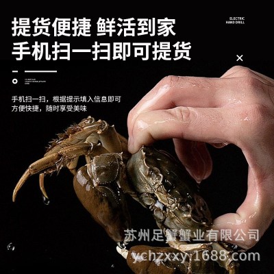 大闸蟹提货卡大闸蟹提货券团购蟹礼8只装礼品卡螃蟹提货券图4