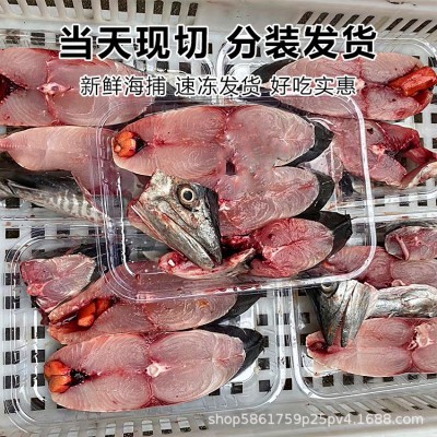 特大马鲛鱼片批发两片一斤装海鲜水产新鲜鲅鱼冷冻深海捕原产地发图2