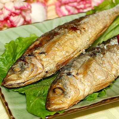 新鲜巴浪鱼批发 原厂地当天海捕冰鲜海鱼冷冻海鲜水产品产地直邮图2